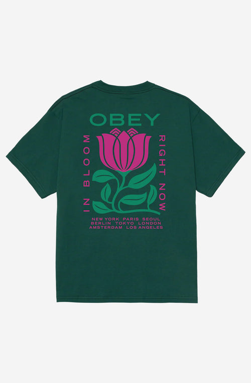 Camiseta Obey In Bloom Classic Rainforest