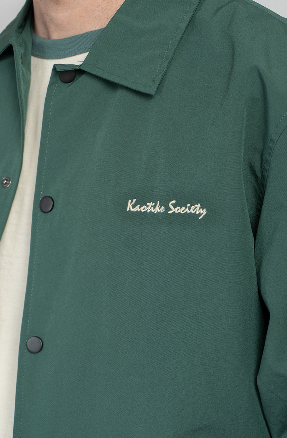 Hunde Grüne Jacke