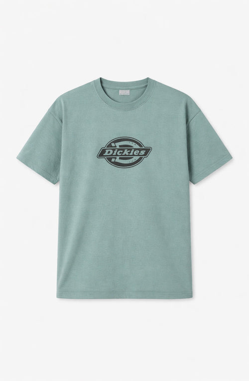Dickies T-Shirt Plainville Stormy Sea