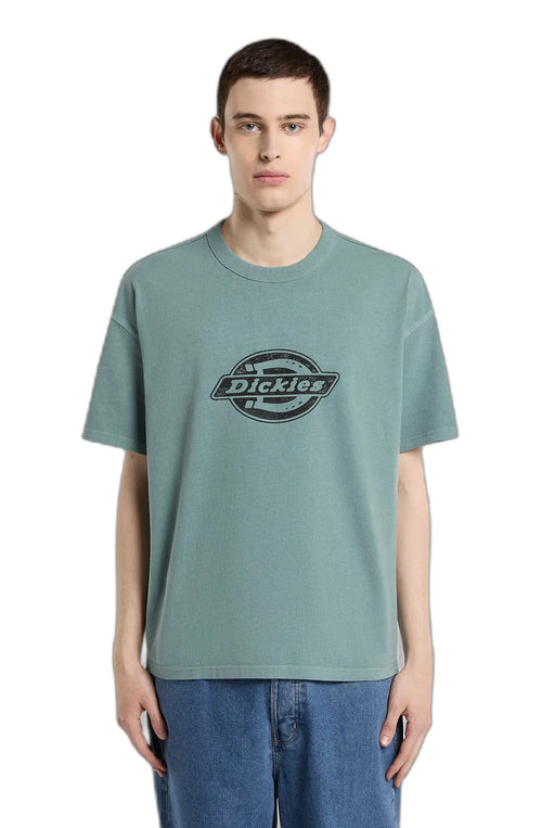 Dickies T-Shirt Plainville Stormy Sea