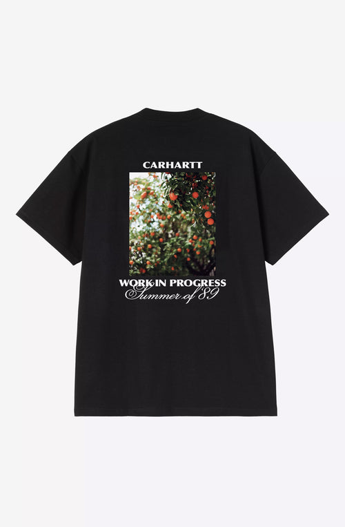 Carhartt WIP Warm Views Organic T-Shirt Schwarz