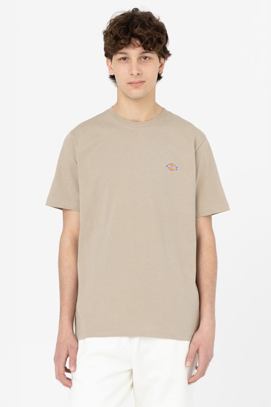 Dickies T-Shirt Mapleton