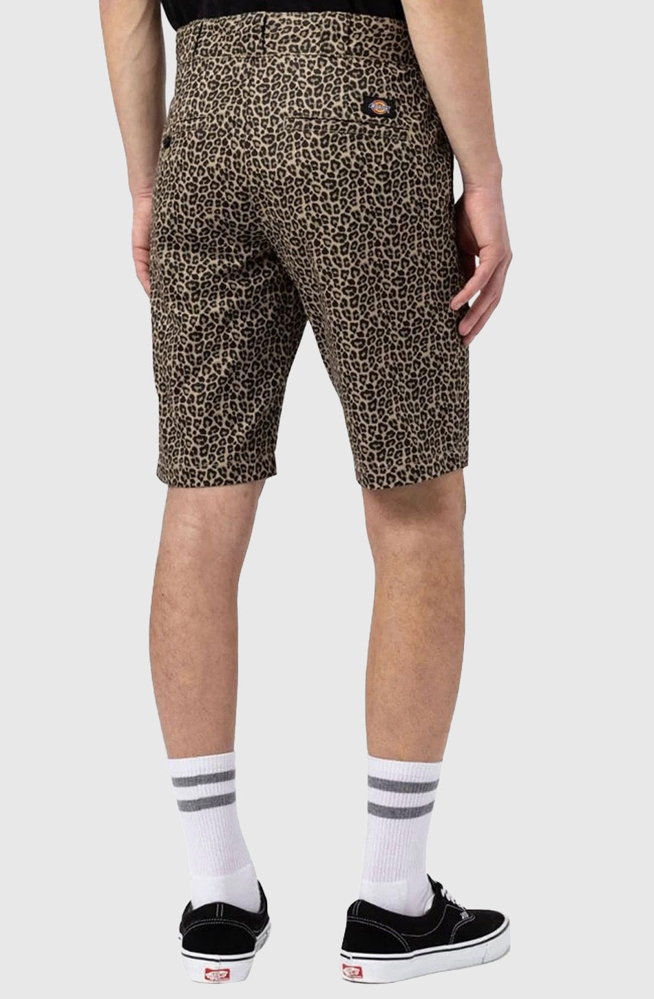 Dickies Silver Firs Short