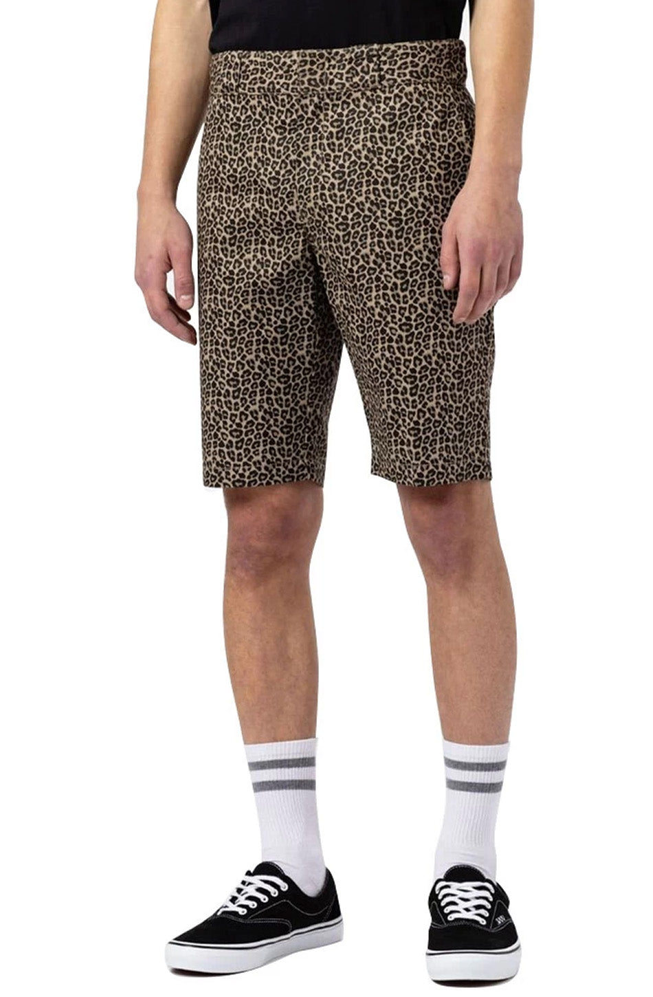 Dickies Silver Firs Short