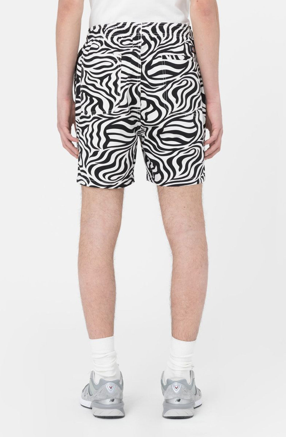 Dickies Wolke Zebra Bermuda Shorts