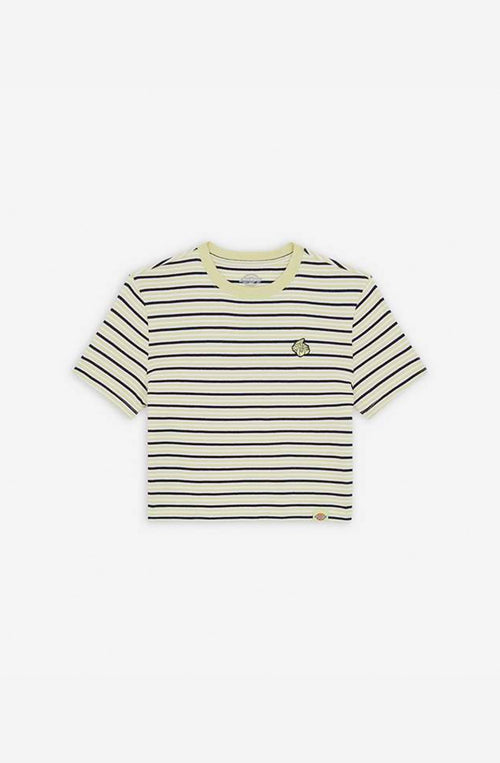 Top Dickies Altoona Stripe Pale Green 