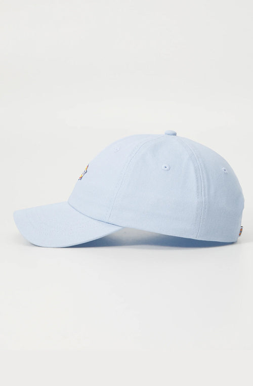 Dickies Hardwick Skyway Kappe