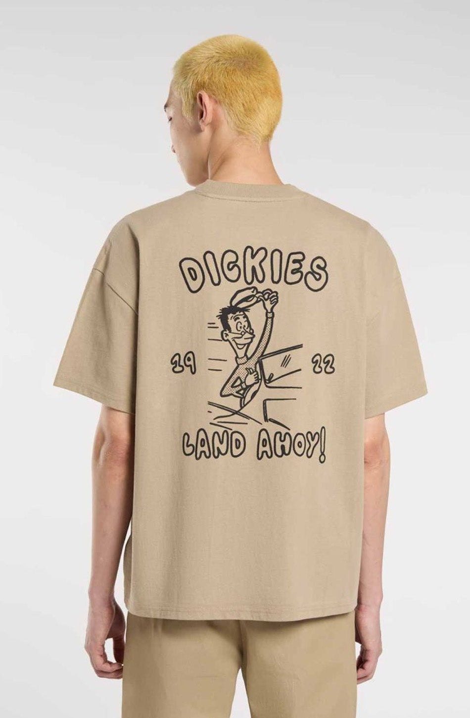 Dickies Decartuville Desert Sand T-Shirt