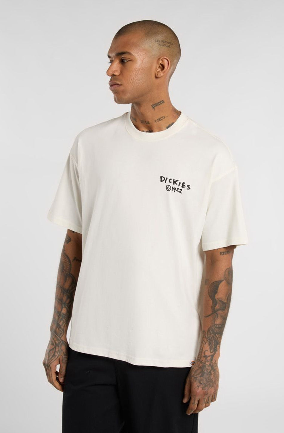 Dickies – Sneedvile – Beiges T-Shirt