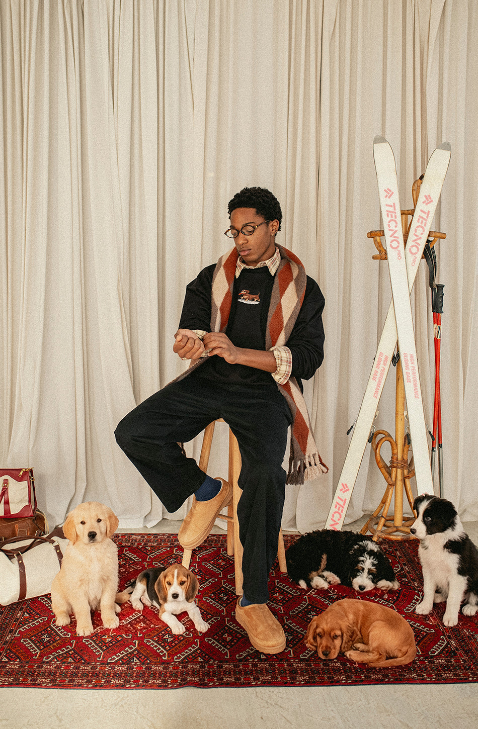 Schwarzes Sweatshirt mit verwaschenem Dackel