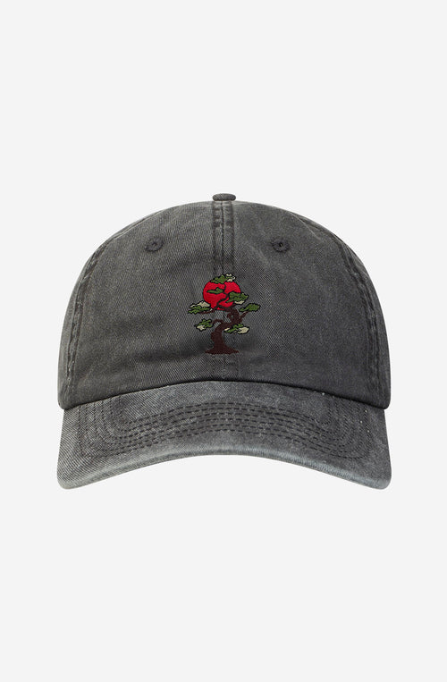 Casquette Bonsai Vintage Black 