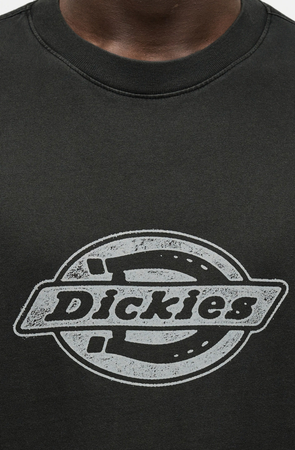 Dickies Plainville T-Shirt Schwarz