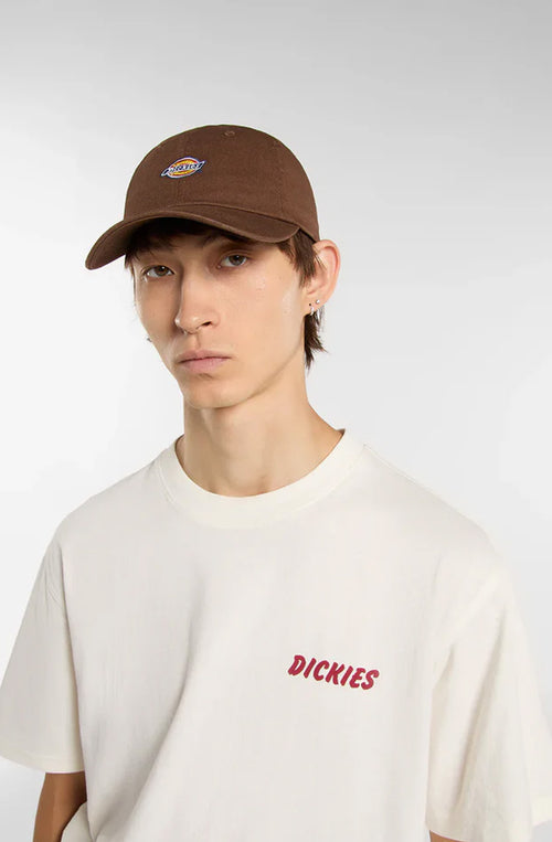Casquette Dickies Hardwick Brown
