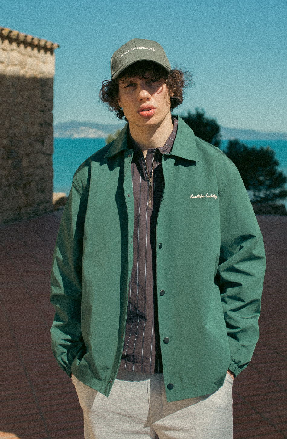 Hunde Grüne Jacke