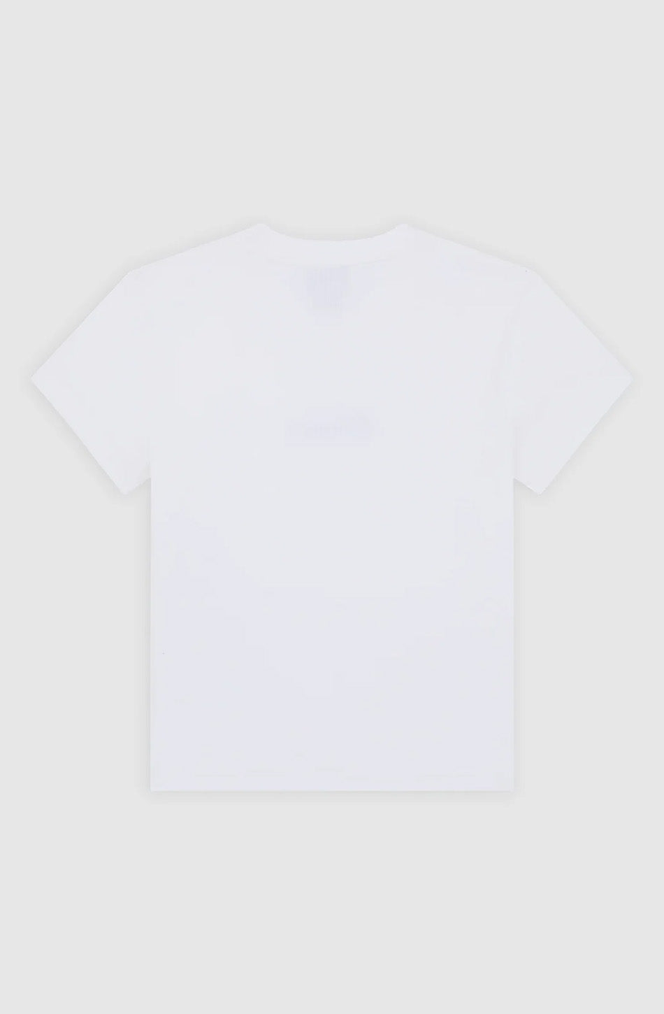 Camiseta Dickies Wellsville White