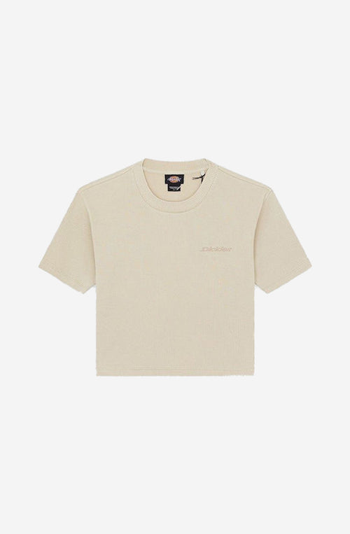 Camiseta Dickies Plentywood Eucalyptus