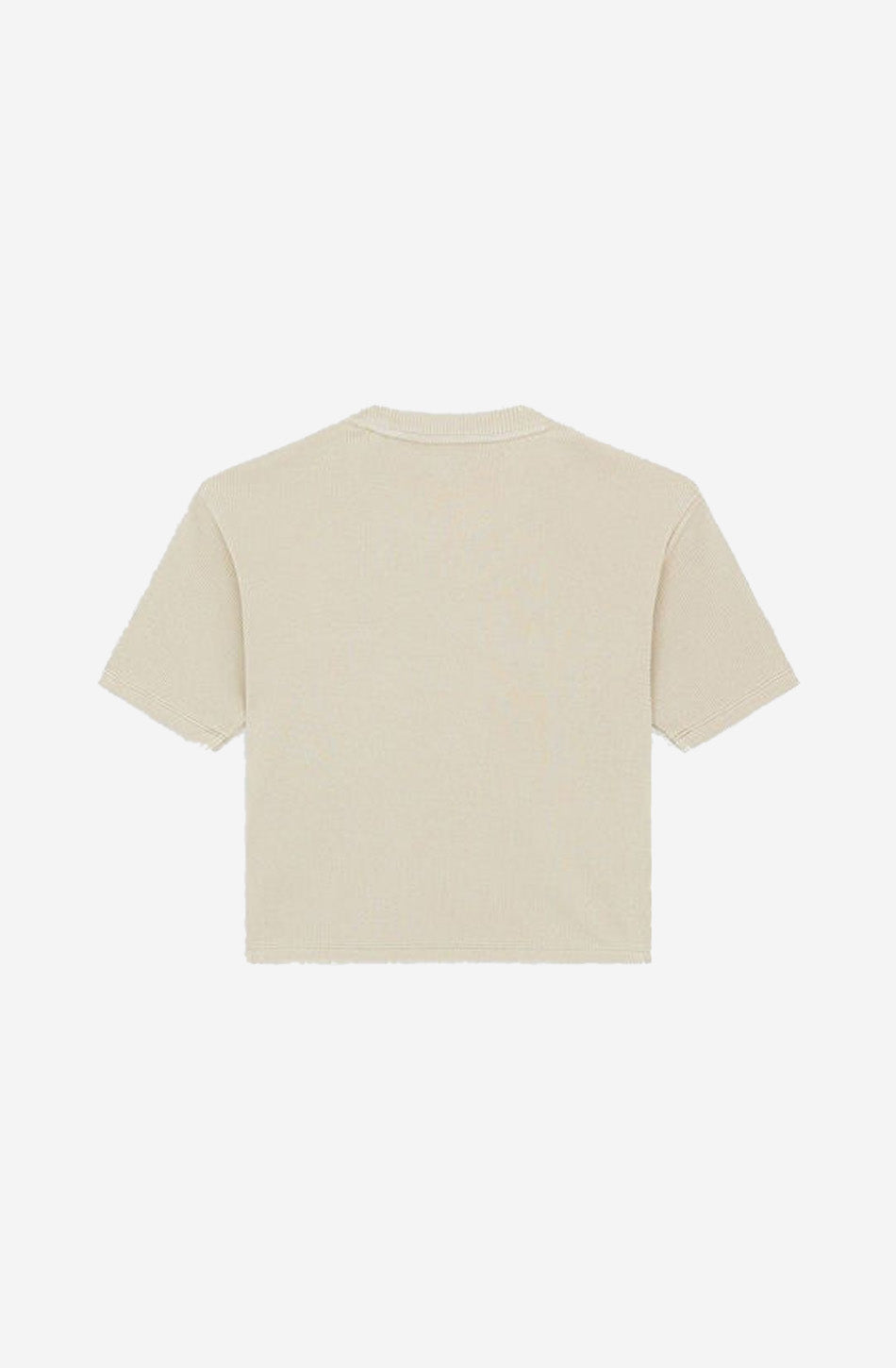 Camiseta Dickies Plentywood Eucalyptus