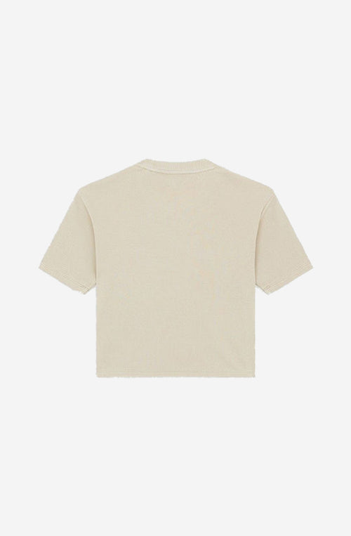 Camiseta Dickies Plentywood Eucalyptus