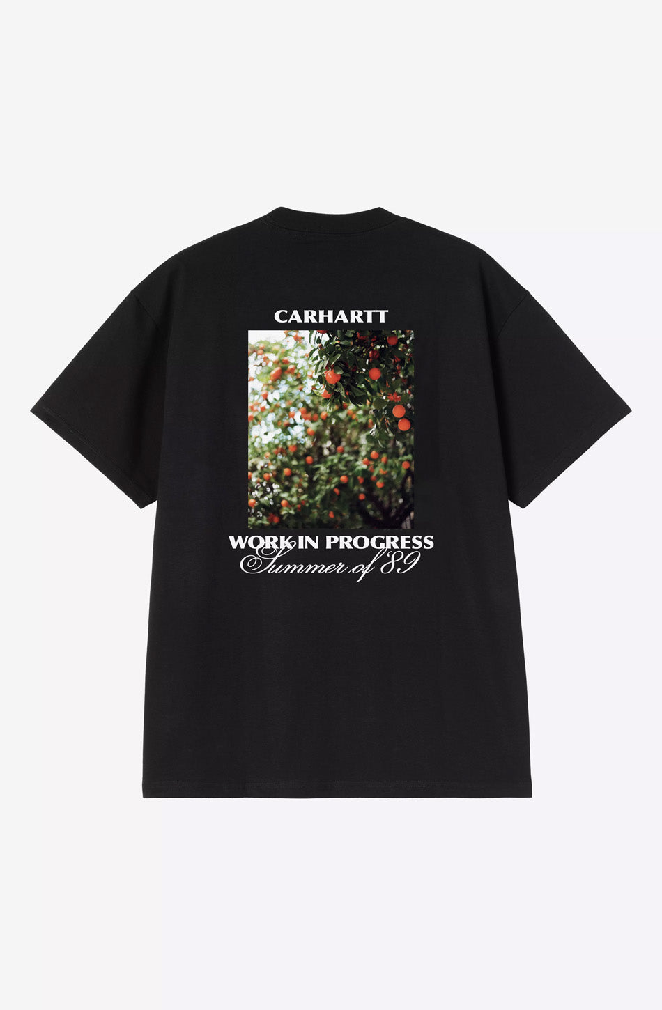 Carhartt WIP Warm Views Organic T-Shirt Schwarz