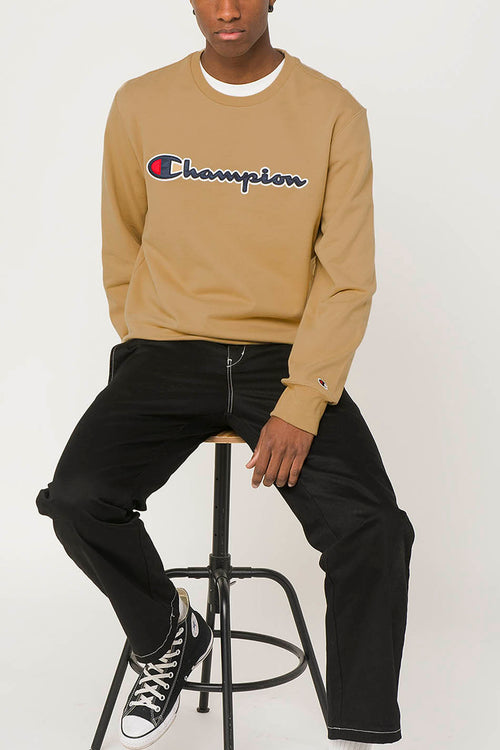 Champion Skript Logo Kapuzenpullover in Braun