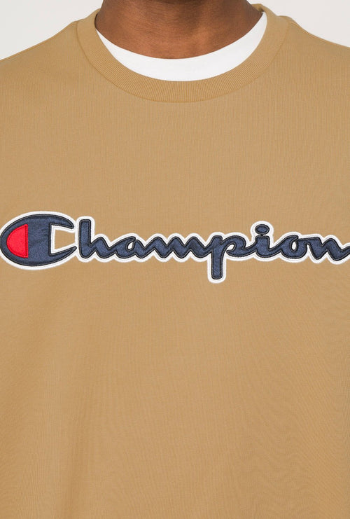 Champion Skript Logo Kapuzenpullover in Braun