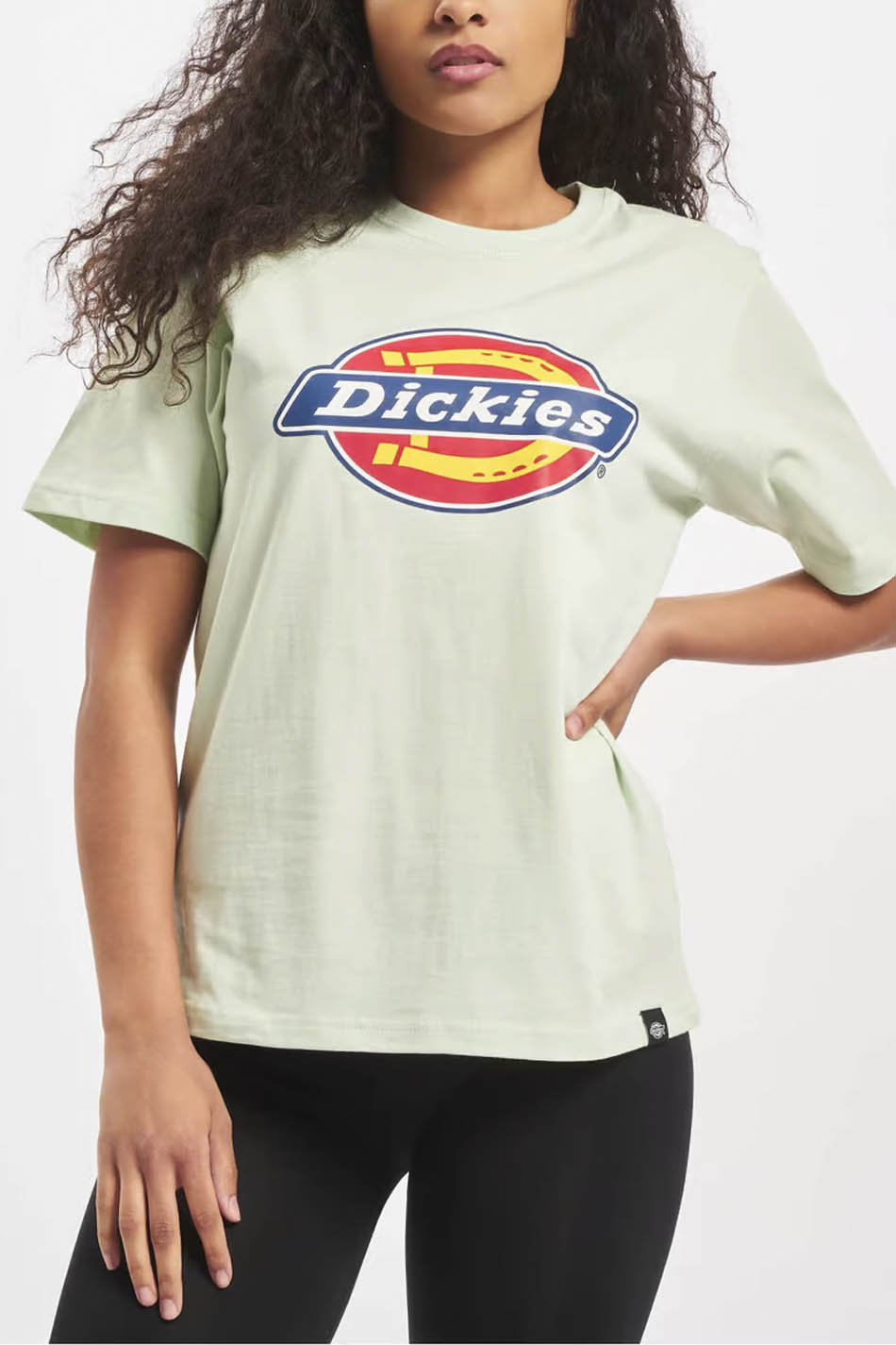 Mint Dickies Horseshoe T-shirt