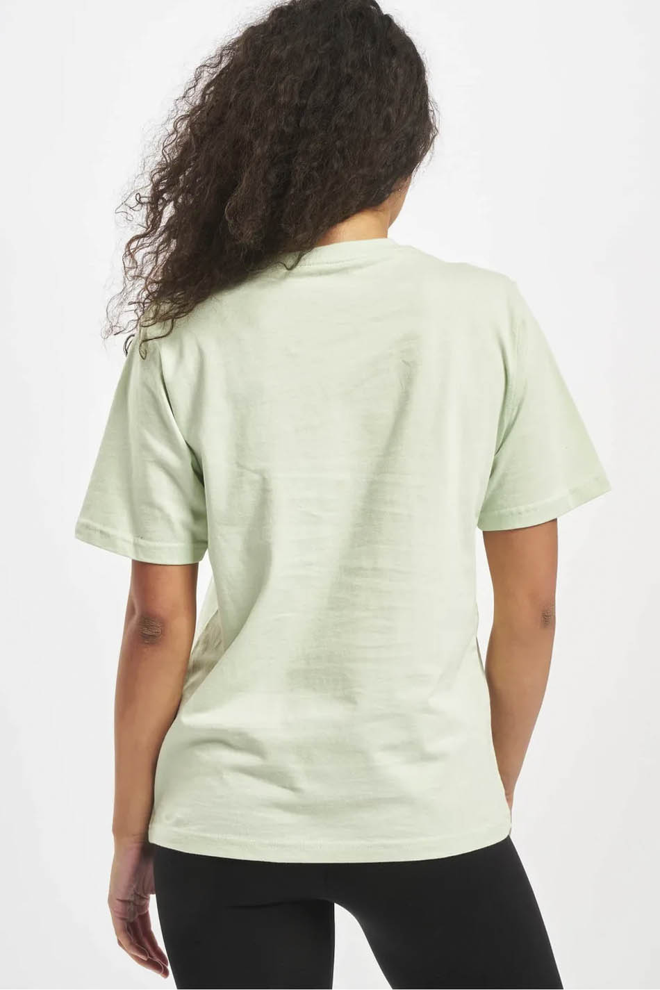 T-Shirt Dickies Horseshoe Mint