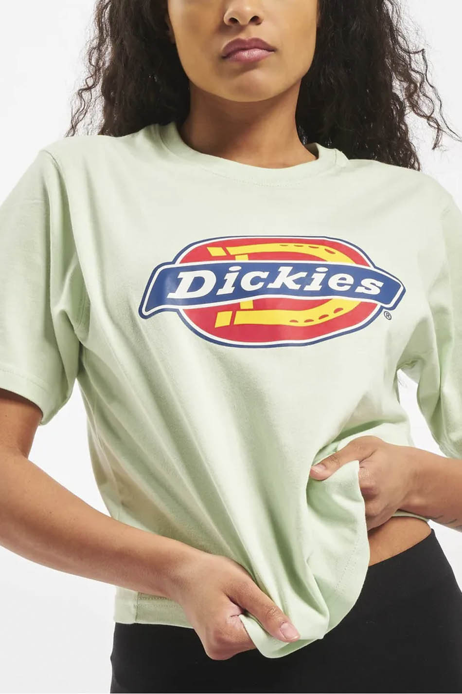 Mint Dickies Horseshoe T-shirt