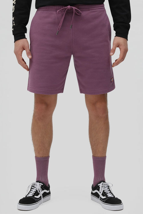 Dickies Champlin violett Shorts