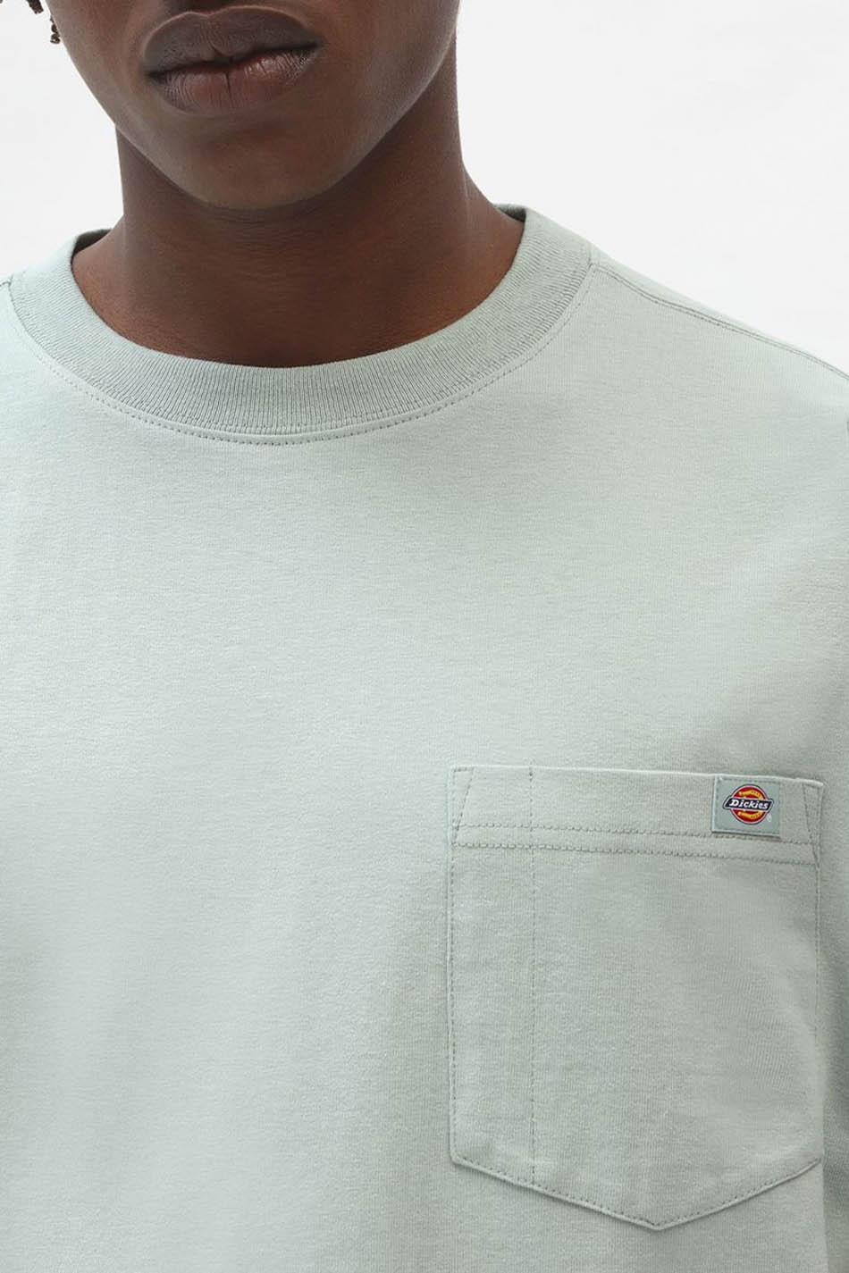 Camiseta Dickies Porterdale Jaeite