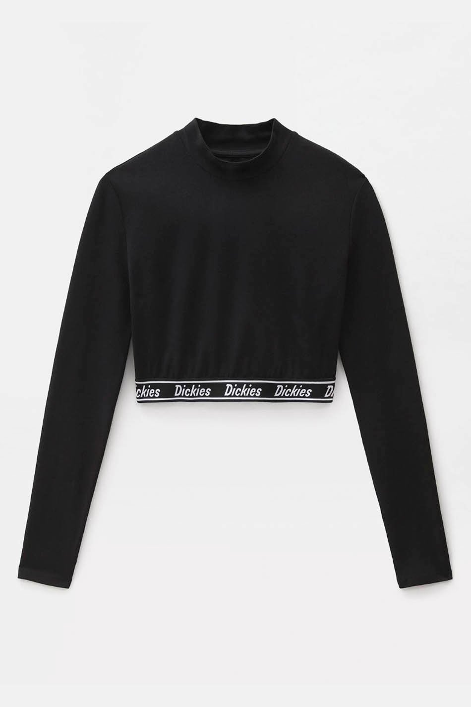 Dickies Petersburg Crop-T-Shirt Schwarz