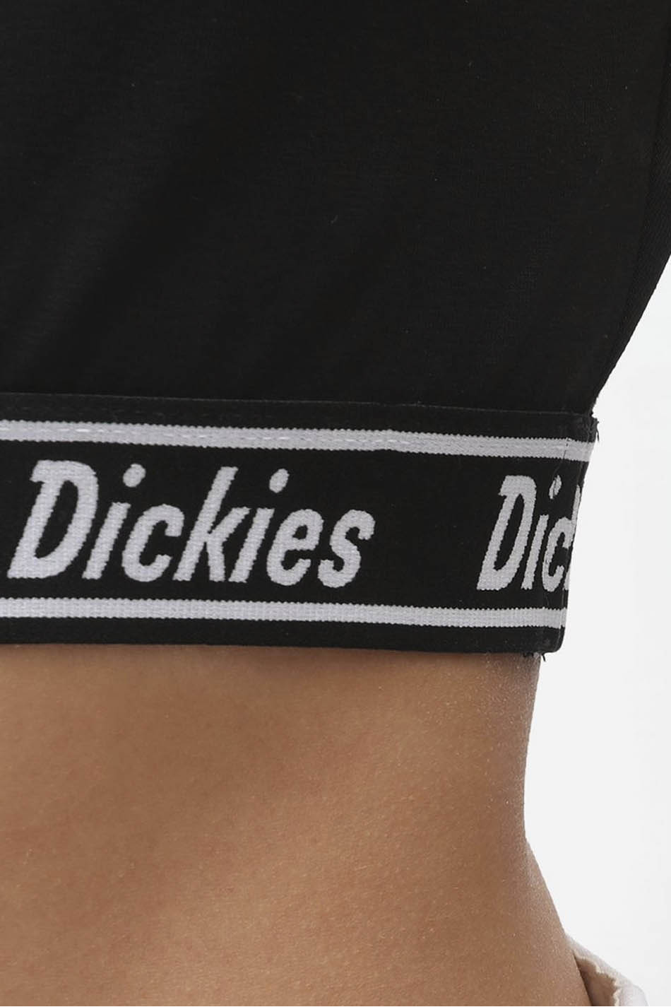 Dickies Petersburg Crop-T-Shirt Schwarz