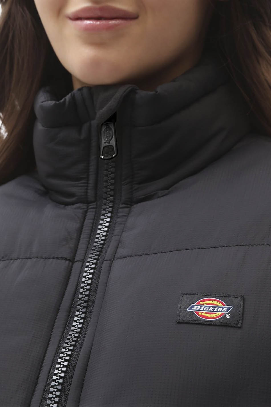 Dickies Alatna Jacke in Schwarz