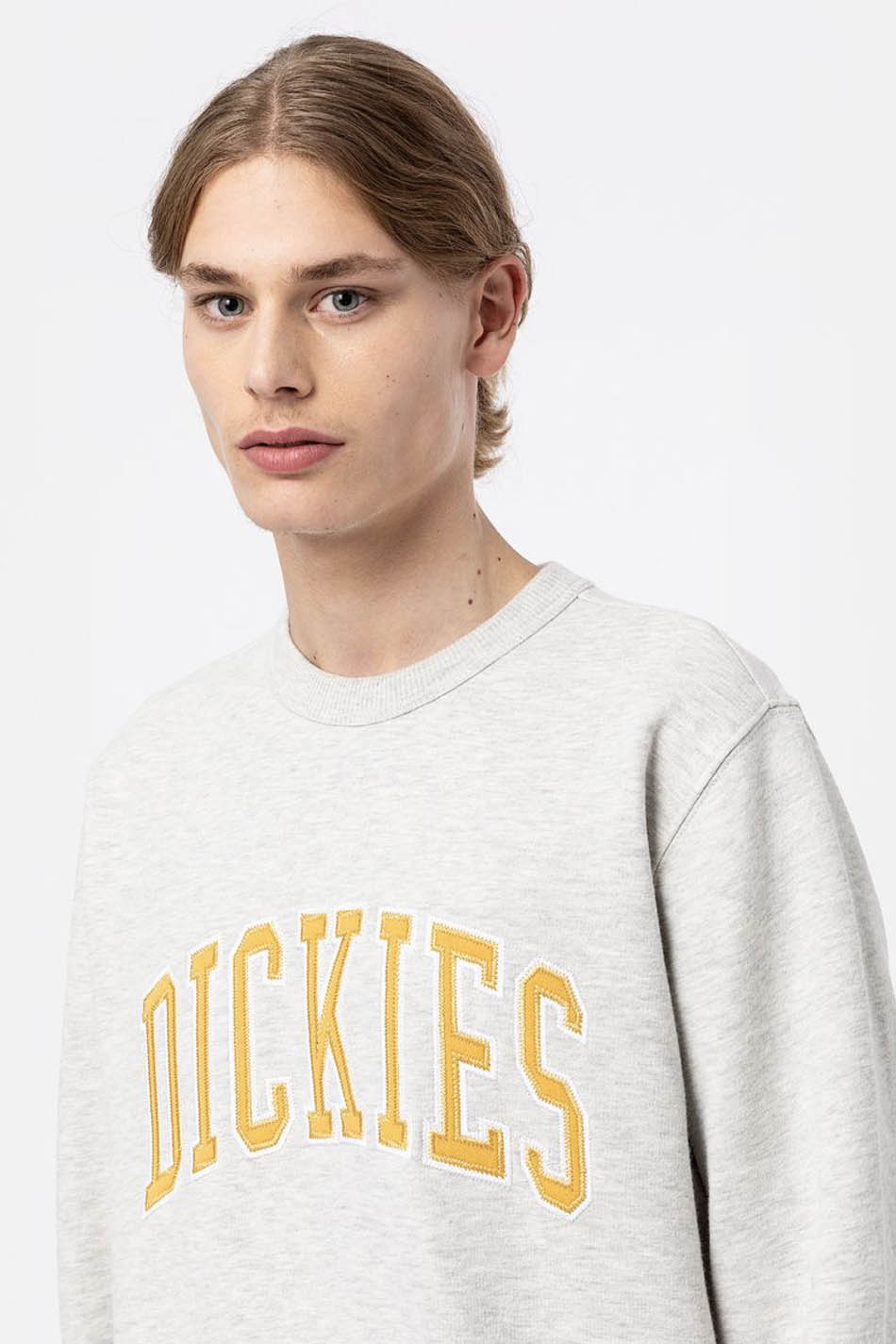 Dickies Aitkin Pullover
