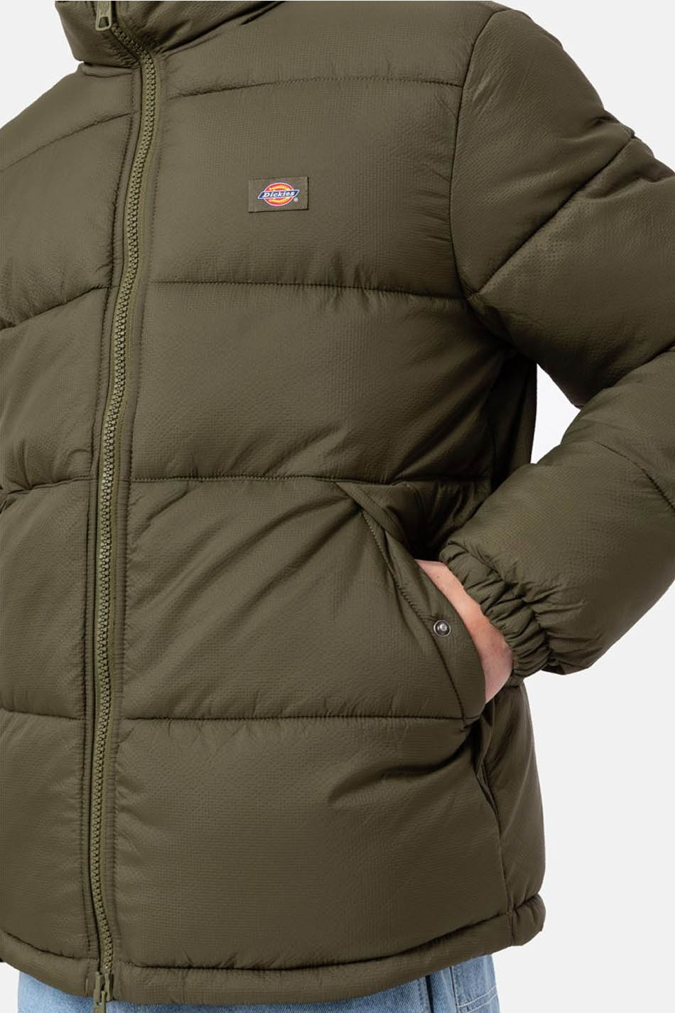 Dickies Waldenburg Jacke Grün