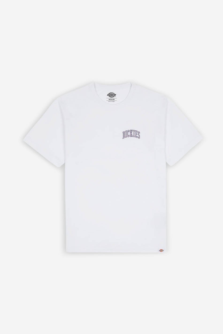 Dickies Aitkin T-Shirt Weiß