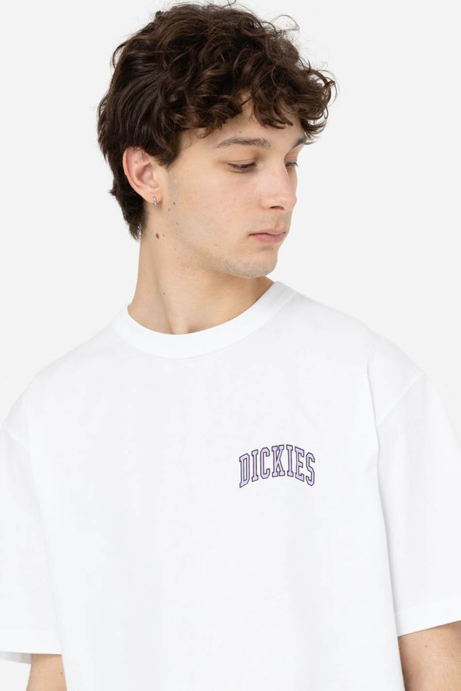 Dickies Aitkin T-Shirt Weiß