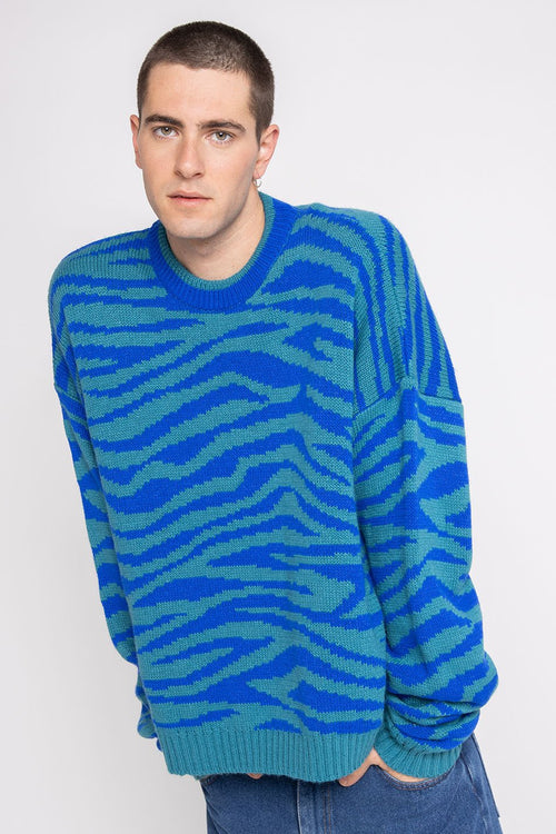 Blue Zebra Jumper