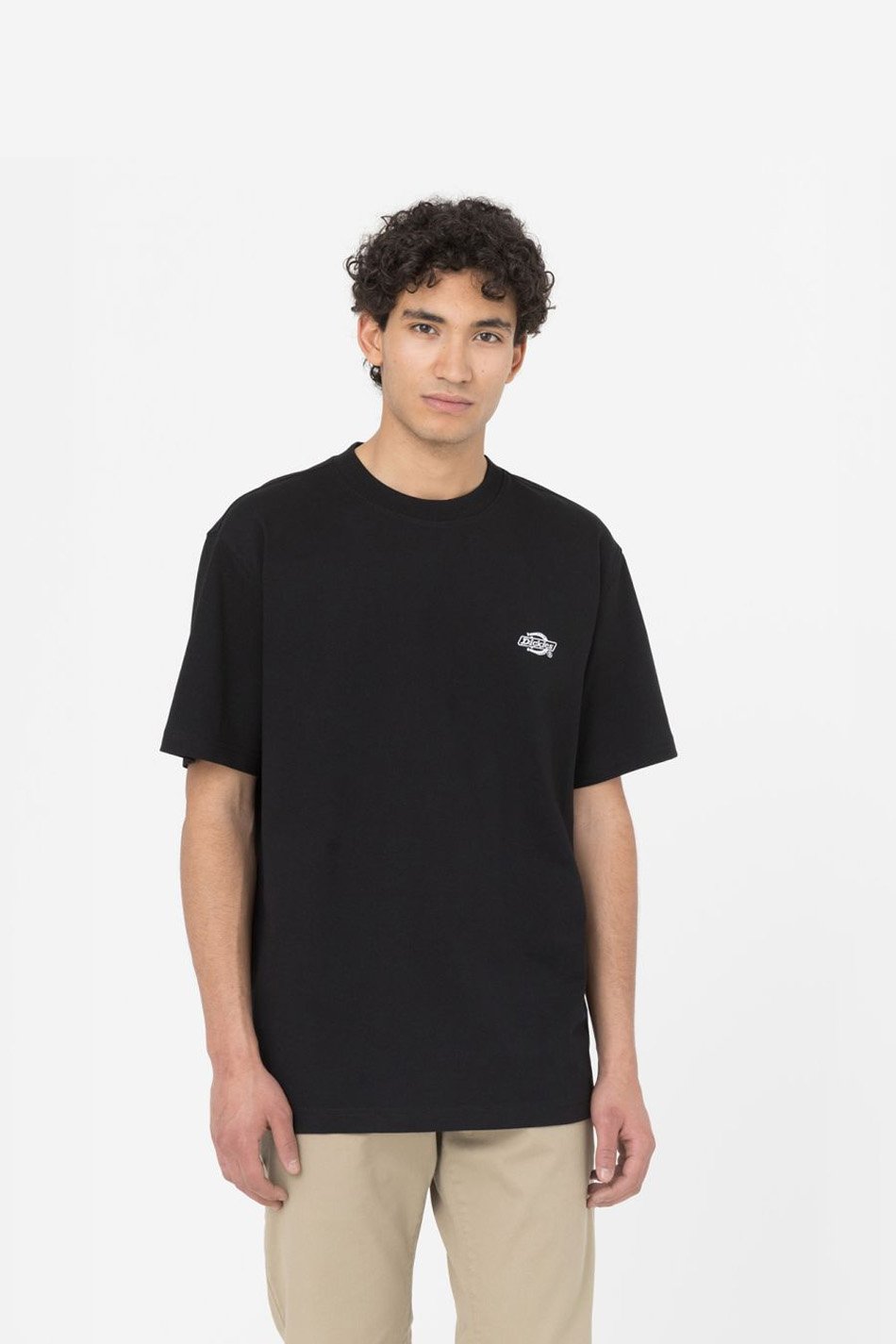 Dickies Summerdale T-Shirt in Schwarz