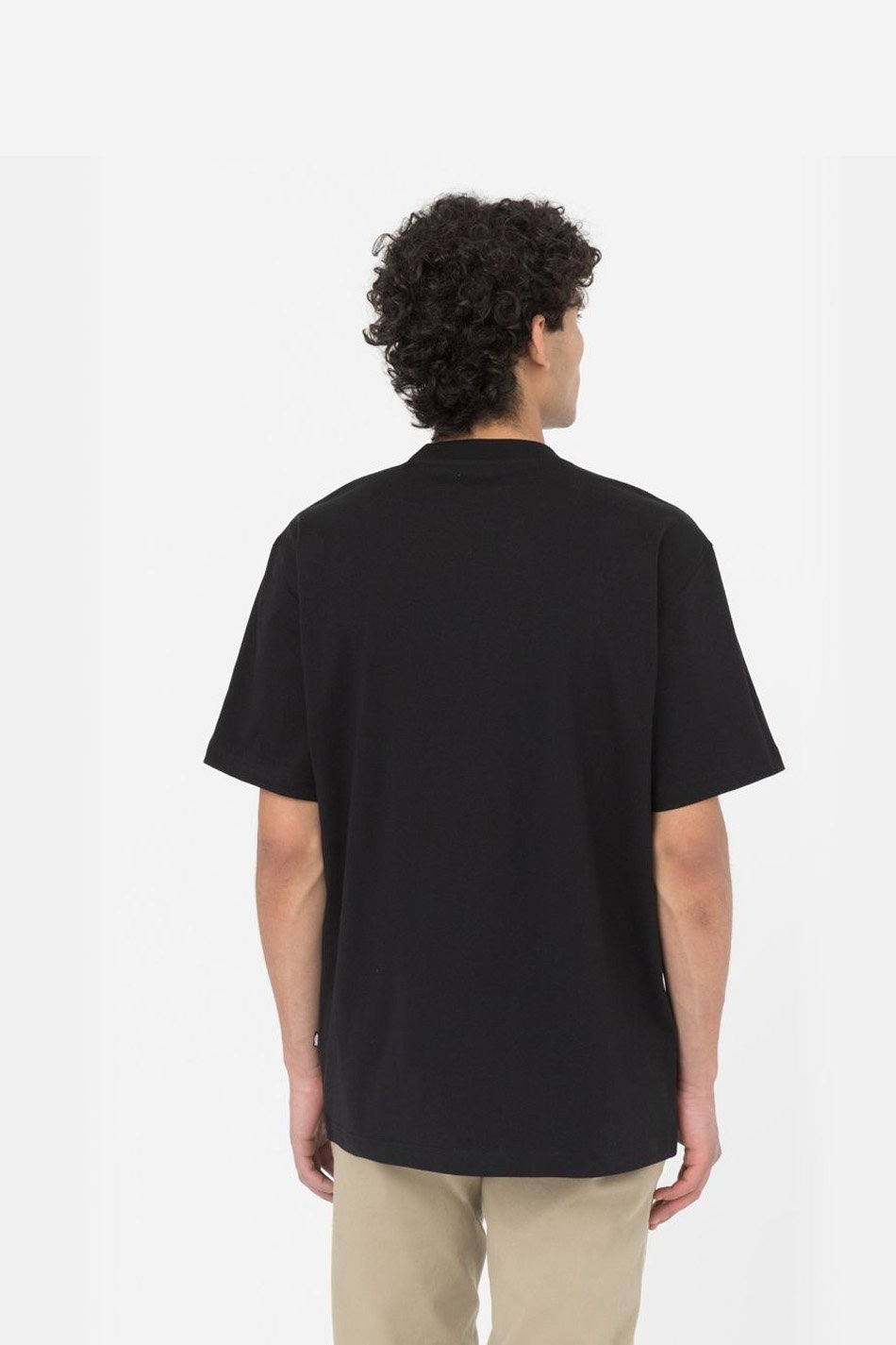 Dickies Summerdale T-Shirt in Schwarz