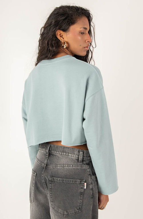 Sweatshirt Crush Steel